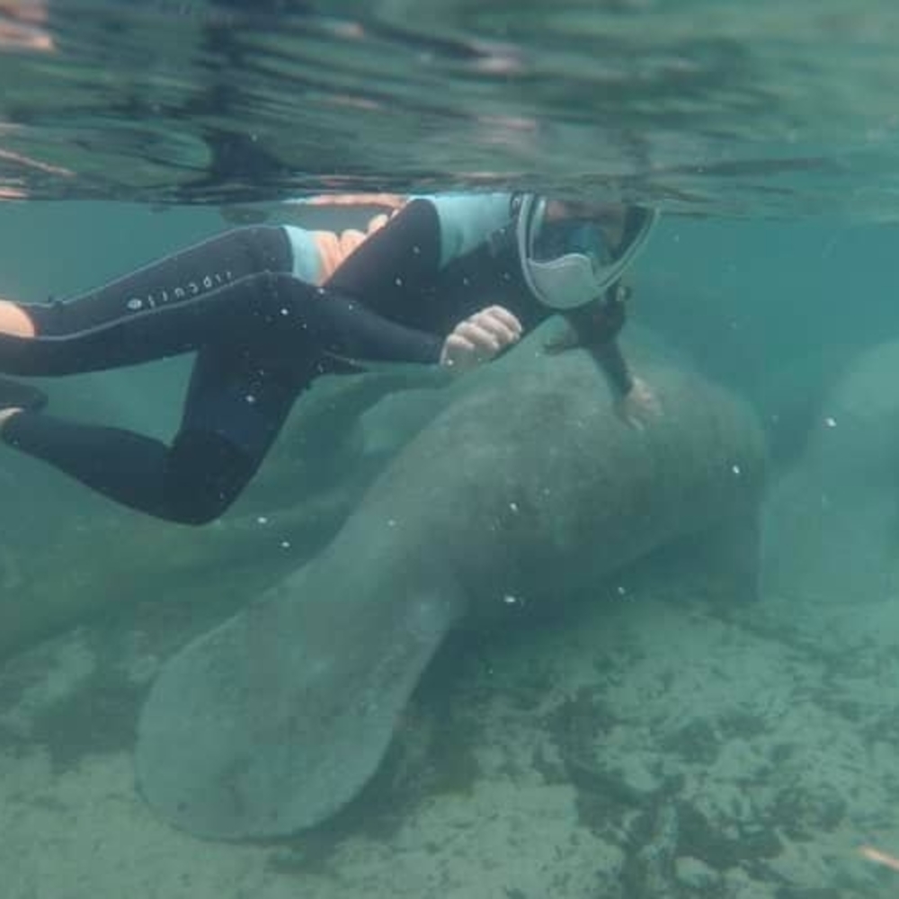 Meet your Posher, Brooke